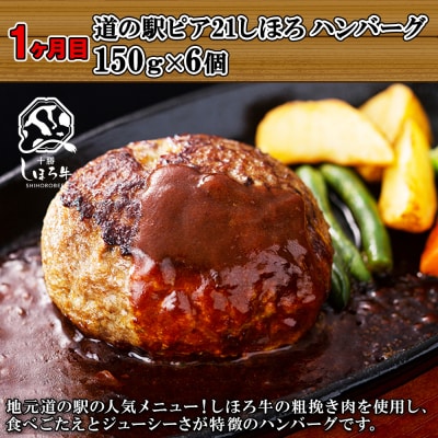 しほろのハンバーグ定期便A【X23a】