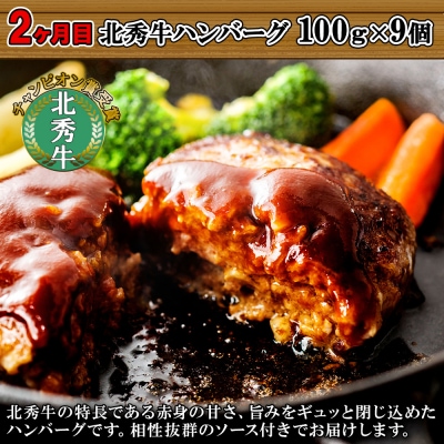 しほろのハンバーグ定期便A【X23a】