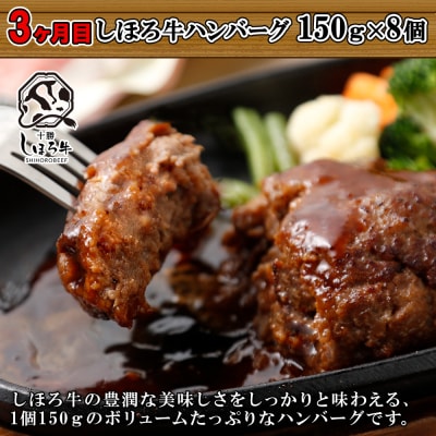 しほろのハンバーグ定期便A【X23a】