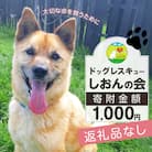 【野犬の保護】浜中町「ドッグレスキューしおんの会」寄附1000円返礼品なし_H0039-001