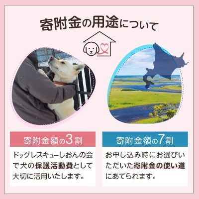 【野犬の保護】浜中町「ドッグレスキューしおんの会」寄附4000円返礼品なし_H0039-004
