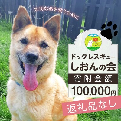 【野犬の保護】浜中町「ドッグレスキューしおんの会」寄附100000円返礼品なし_H0039-009