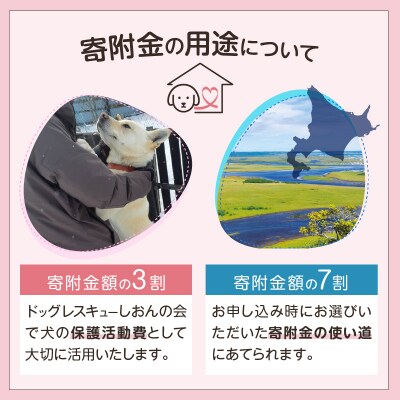 【野犬の保護】浜中町「ドッグレスキューしおんの会」寄附100000円返礼品なし_H0039-009