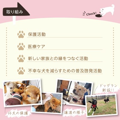 【野犬の保護】浜中町「ドッグレスキューしおんの会」寄附100000円返礼品なし_H0039-009