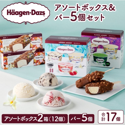 ハーゲンダッツバラエティセット(アソート&バー5本)_H0026-028