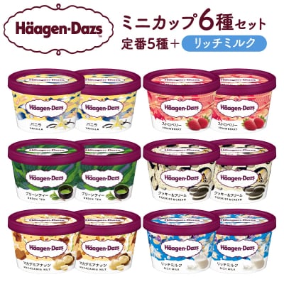 ハーゲンダッツ『ミニカップ12個セット(定番フレーバー&リッチミルク味)』_440303
