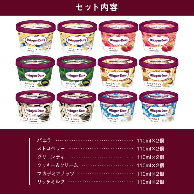 ハーゲンダッツ『ミニカップ12個セット(定番フレーバー&リッチミルク味)』_440303