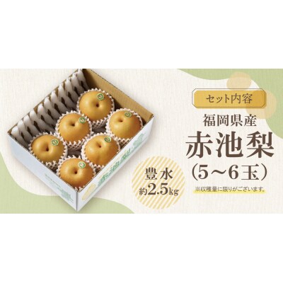 赤池梨(豊水)約2.5kg