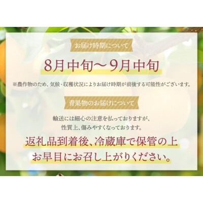 赤池梨(豊水)約2.5kg