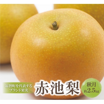 赤池梨(秋月)約2.5kg