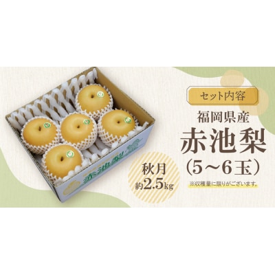 赤池梨(秋月)約2.5kg