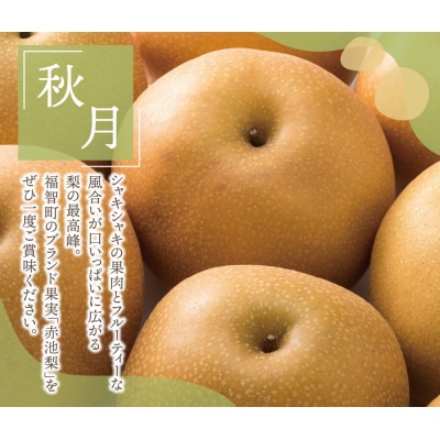 赤池梨(秋月)約2.5kg