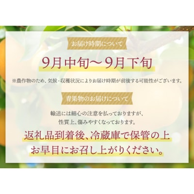 赤池梨(秋月)約2.5kg