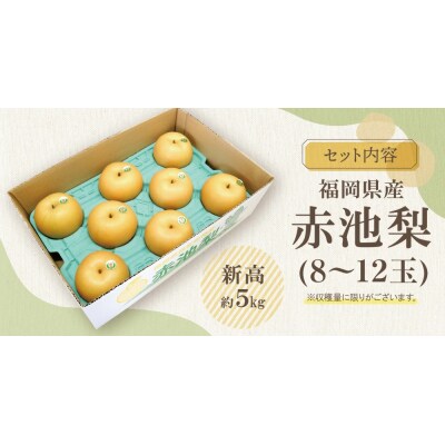 赤池梨(新高)約5kg