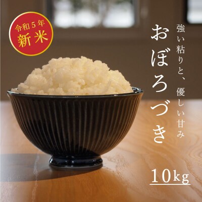 新米先行受付　長谷川農園おぼろづき10kg(令和5年産)【U-003】