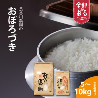 【令和8年産米】長谷川農園おぼろづき10kg 北海道米【U-003】