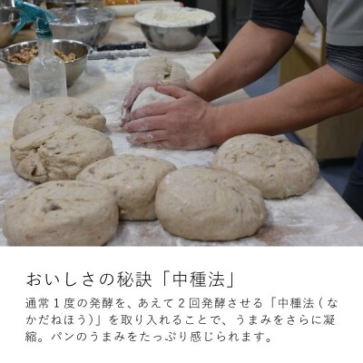 凜香の「酵母パン」セット【E-001】