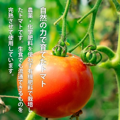 トマトジュース「ぎゅーっとトマト」無塩セット【C-001】