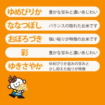 長谷川農園 お米食べ比べセット【B-002】