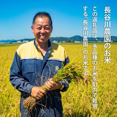 長谷川農園 お米食べ比べセット【B-002】