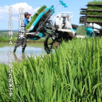 有機栽培米ゆめぴりか5kg【T-006】