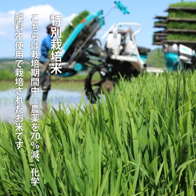 特別栽培米食べ比べ10kg【T-008】