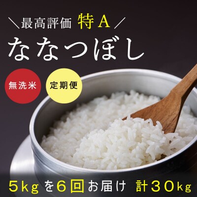 特Aランク ななつぼし(無洗米)5kg 6回コース『定期便』【A-018】 | ふるさと納税のお礼品