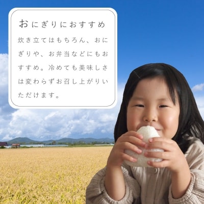 特Aランク ななつぼし(無洗米)5kg 6回コース『定期便』【A-018】