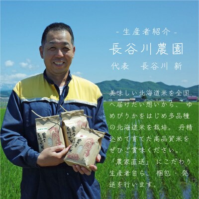【令和6年産】長谷川農園おぼろづき10kg3回コース『定期便』【U-006】