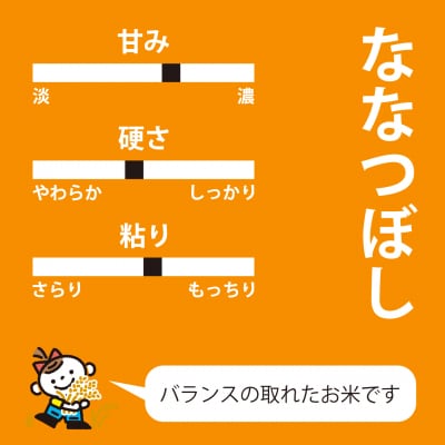 【令和8年産米】長谷川農園ななつぼし10kg 北海道米【U-004】