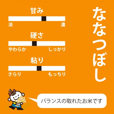 【令和8年産米】長谷川農園ななつぼし10kg3回コース『定期便』【U-007】