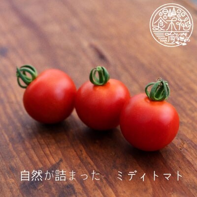 2024年産先行受付　のんの畑北海道 ミディトマト 3.5kg【G-002】