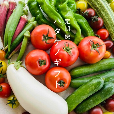 【先行受付】高橋農園ハタケノギフト2回コース2023【O-004】 | ふるさと納税のお礼品