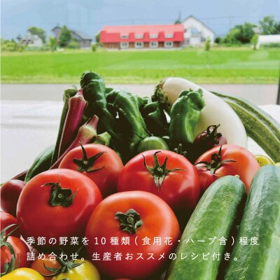 2024年産先行受付　高橋農園ハタケノギフト2回コース【O-004】