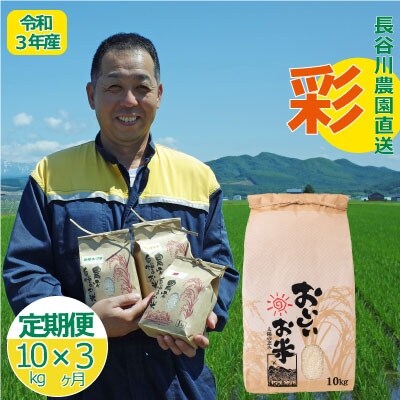 長谷川農園彩3回コース『定期便』【U-011】