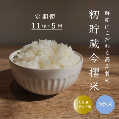 【令和7年産】定期便 無洗米 11kg 5回 籾貯蔵今摺米きたくりん 【A-008】