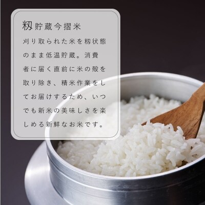 定期便 無洗米 11kg 5回 籾貯蔵今摺米きたくりん 【A-008】