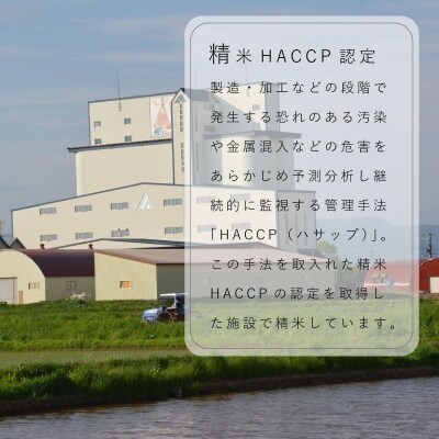 定期便 無洗米 11kg 5回 籾貯蔵今摺米きたくりん 【A-008】