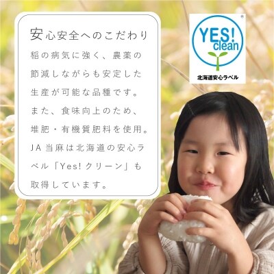 定期便 無洗米 11kg 5回 籾貯蔵今摺米きたくりん 【A-008】