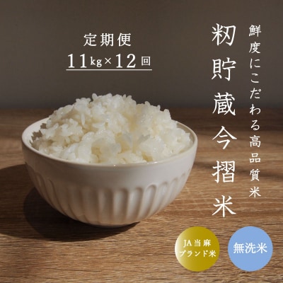 【令和6年産】定期便 無洗米 11kg 12回 籾貯蔵今摺米きたくりん 【A-009】