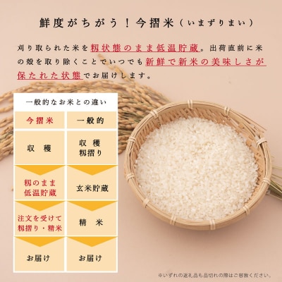 【令和6年産】定期便 無洗米 11kg 12回 籾貯蔵今摺米きたくりん 【A-009】