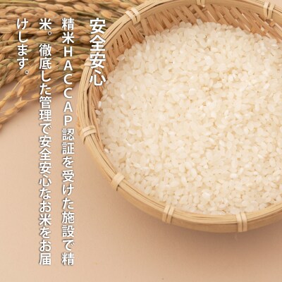 【令和7年産】定期便 無洗米 11kg 12回 籾貯蔵今摺米きたくりん 【A-009】