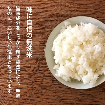【令和7年産】定期便 無洗米 11kg 12回 籾貯蔵今摺米きたくりん 【A-009】