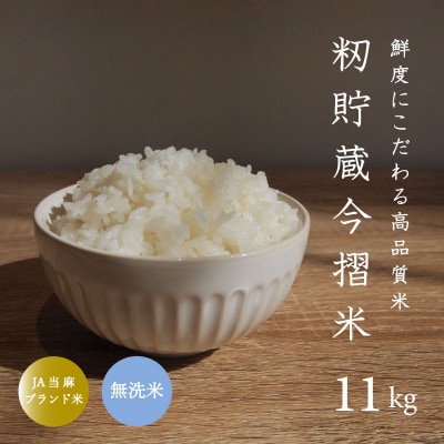 令和7年産 無洗米 11kg 籾貯蔵今摺米きたくりん 北海道【A-006】