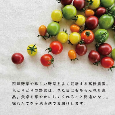 2024年産先行受付　高橋農園ハタケノギフト3ヶ月コース【O-002】