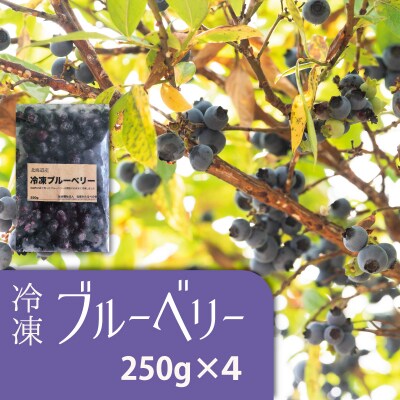 冷凍ブルーベリー(250g×4袋)【S-004】