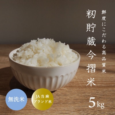 令和7年産 無洗米 5kg 籾貯蔵今摺米きたくりん 北海道 【A-025】