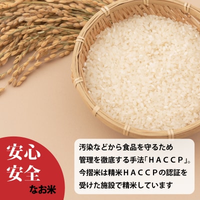 令和7年産 無洗米 5kg 籾貯蔵今摺米きたくりん 北海道 【A-025】