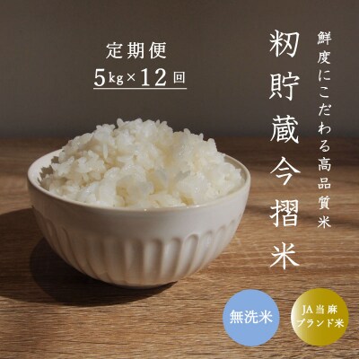 【令和7年産】定期便 無洗米 5kg 12回 籾貯蔵今摺米きたくりん 【A-027】