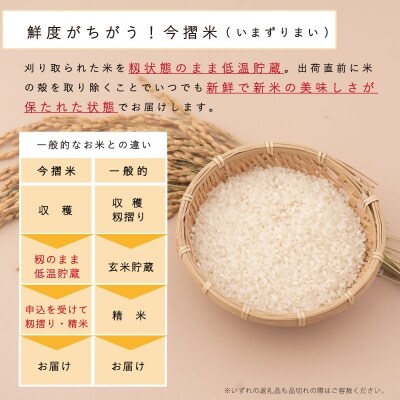 定期便 無洗米 5kg 12回 籾貯蔵今摺米きたくりん 【A-027】